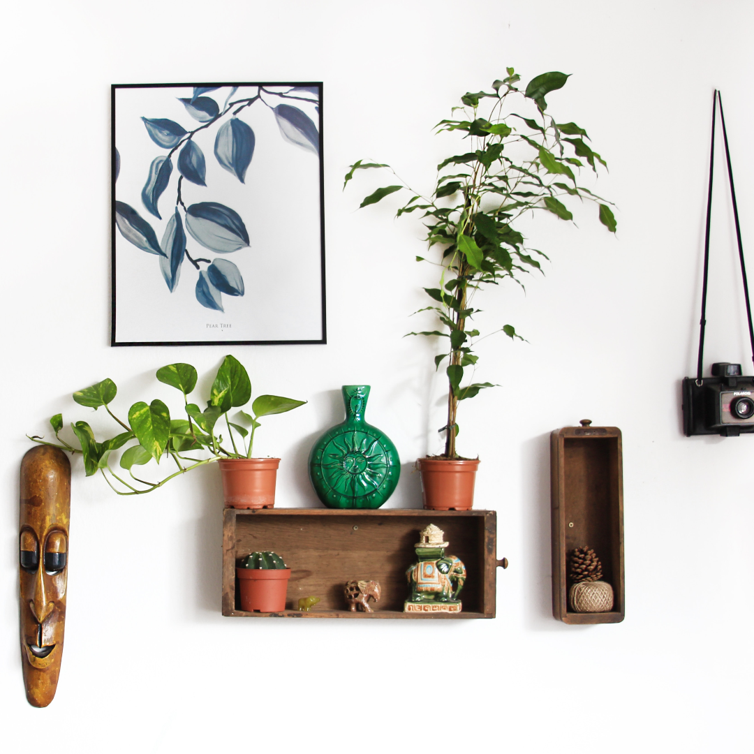 Home Decor
